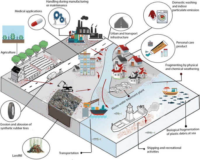 From Fish to Humans, A Microplastic Invasion May Be Taking a Toll