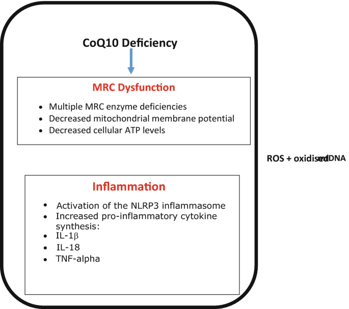 glutathione levels in fibromyalgia Oxidative Stress in Fibromyalgia: From Pathology to Treatment -  Assavarittirong - 2022 - Oxidative Medicine and Cellular Longevity main image 0