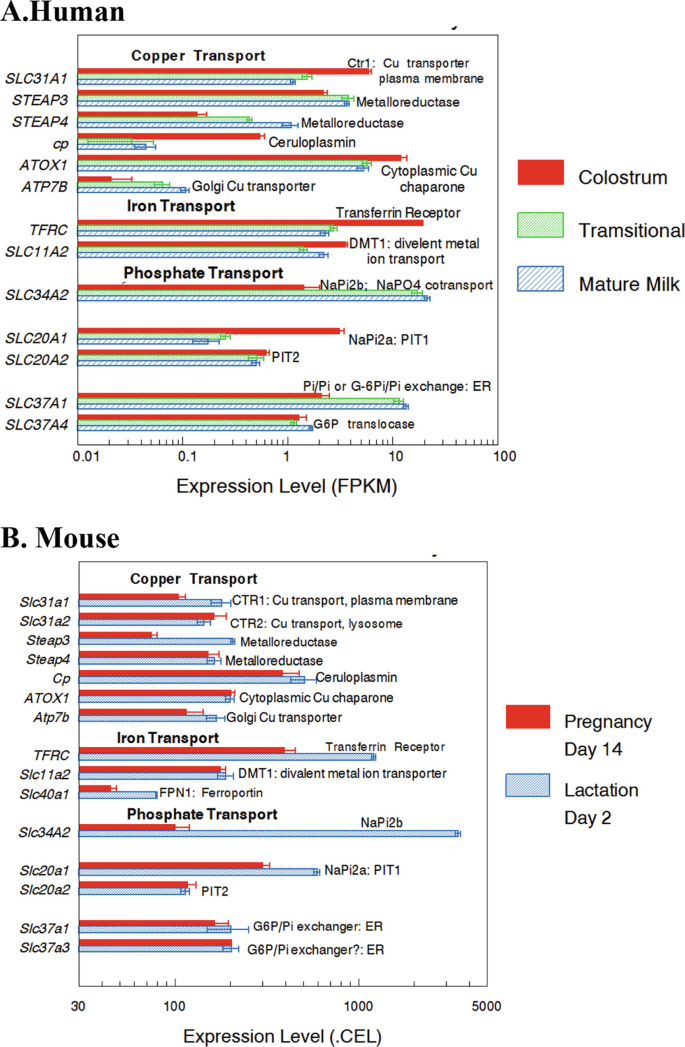 https://media.springernature.com/lw685/springer-static/image/chp%3A10.1007%2F978-3-030-55310-4_6/MediaObjects/466479_2_En_6_Fig7_HTML.png