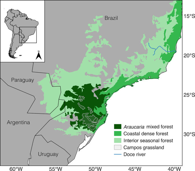 The Southern Atlantic Forest: Use, Degradation, and Perspectives for  Conservation
