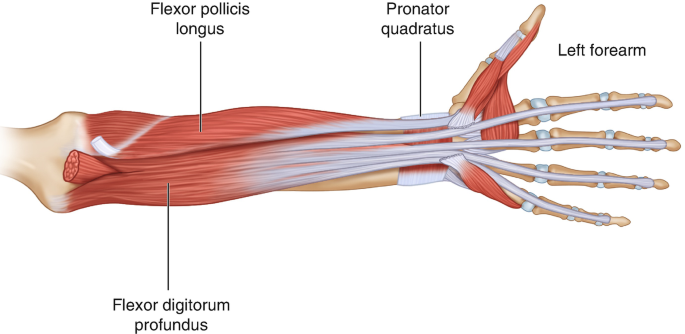 figure 18