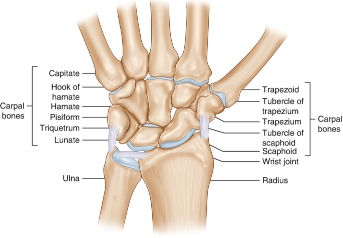 figure 29