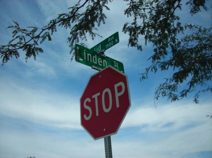 A photograph captures a stop sign that is placed below the sign for Linden Street.