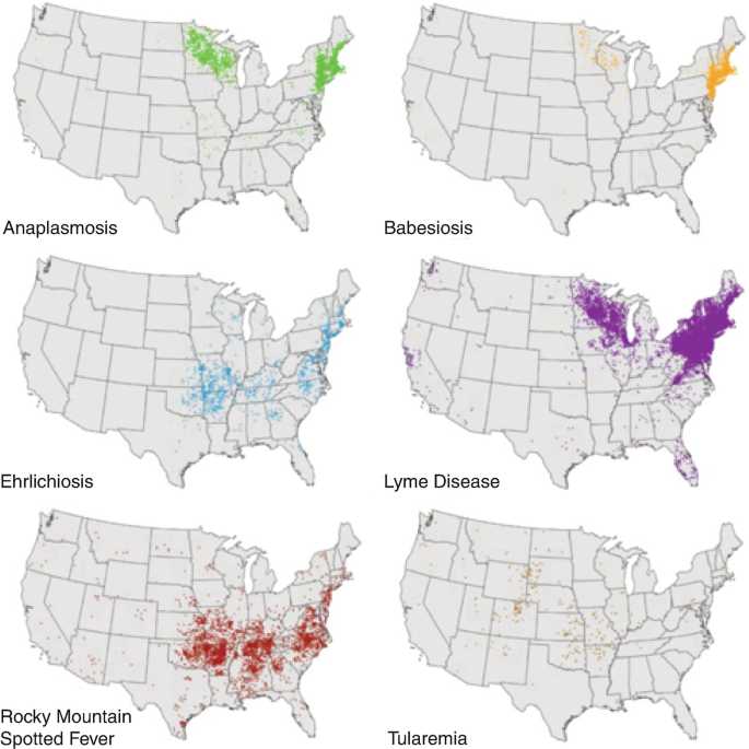 Rocky Mountain Spotted Fever Map 2019 Tick-Borne Infections Of The Central Nervous System | Springerlink Rocky Mountain Spotted Fever Map 2019 Tick-Borne Infections Of The Central Nervous System | Springerlink