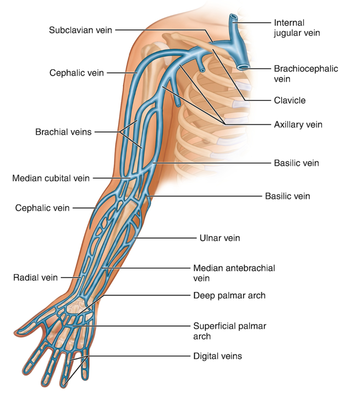 figure 29