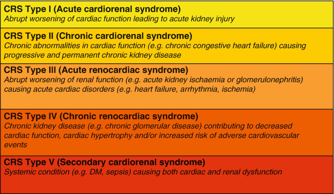 The Molecular Mechanism and Therapeutic Strategy of Cardiorenal Syndrome  Type 3