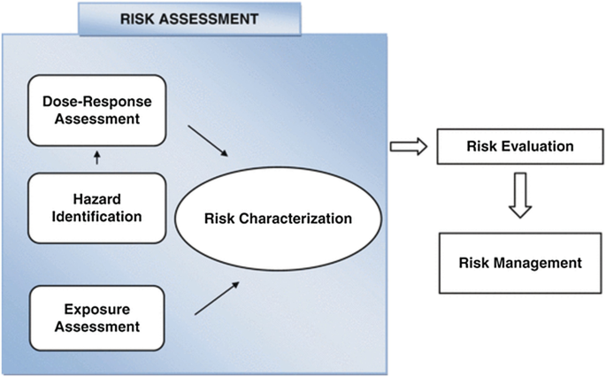 In Vitro Toxicological Investigation and Risk Assessment of E