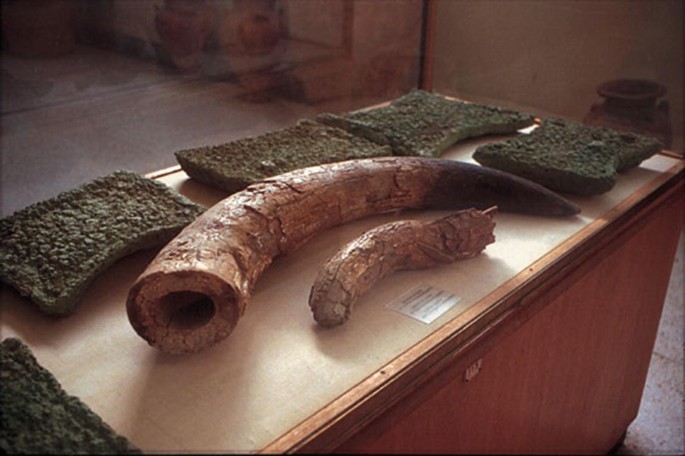 Vertebrates Of Upper Mesopotamia Present Evidence And Archaeological Data Springerlink
