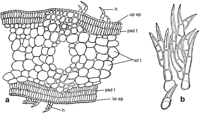 figure 122