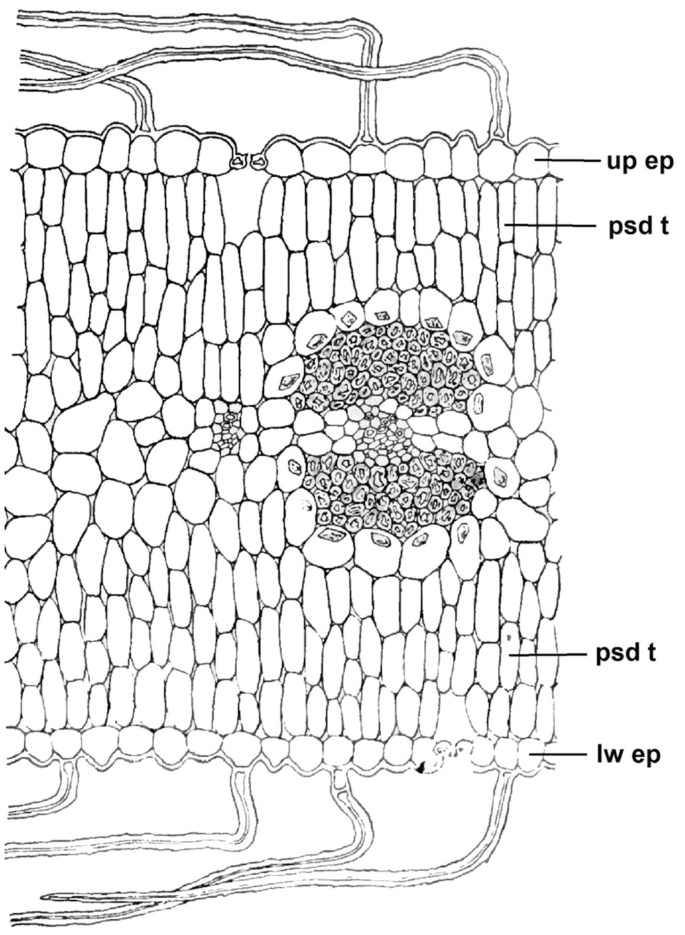 figure 156