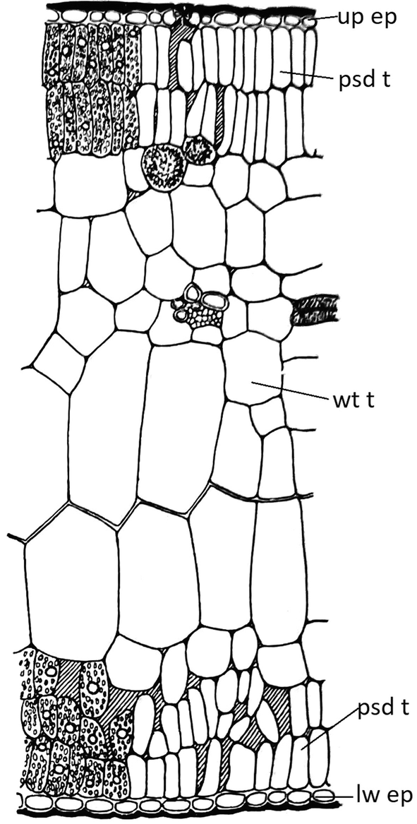 figure 197