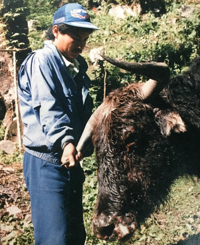 USDA APHIS  Import of Live Water Buffalo and Yak