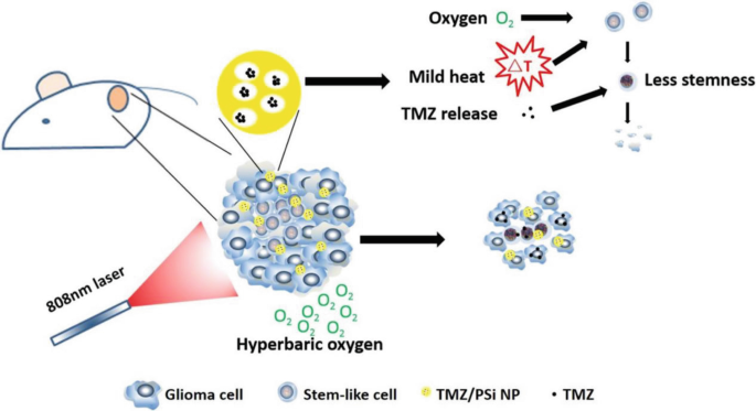 Increase The Effectiveness Of Stem Cell Therapy With HBOT 