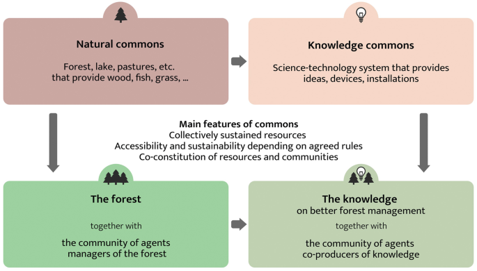 A model diagram depicts the main features of the commons. 1. Natural commons. 2. Knowledge commons. 3. The forest. 4. The knowledge of better forest management.