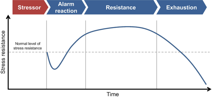 Stress: A Brief History