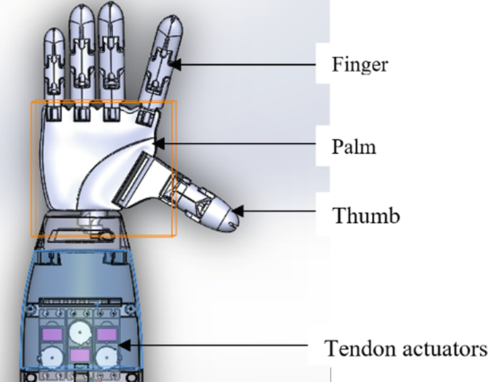 A brain-computer interface that evokes tactile sensations improves robotic  arm control