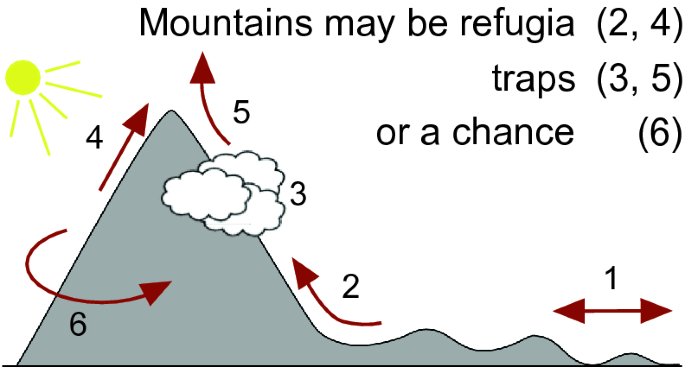 Survival of the Fittest in the Alps, Autentic Distribution, Screenings