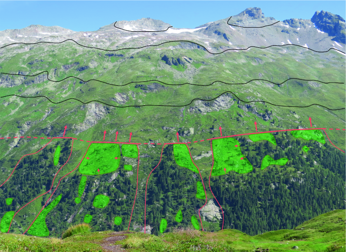 Frontiers  Alpine Treeline Dynamics and the Special Exposure Effect in the  Hengduan Mountains