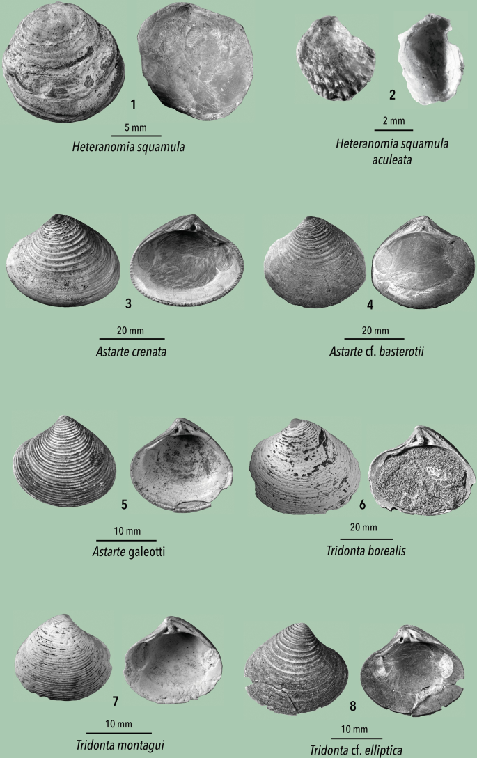 figure 36