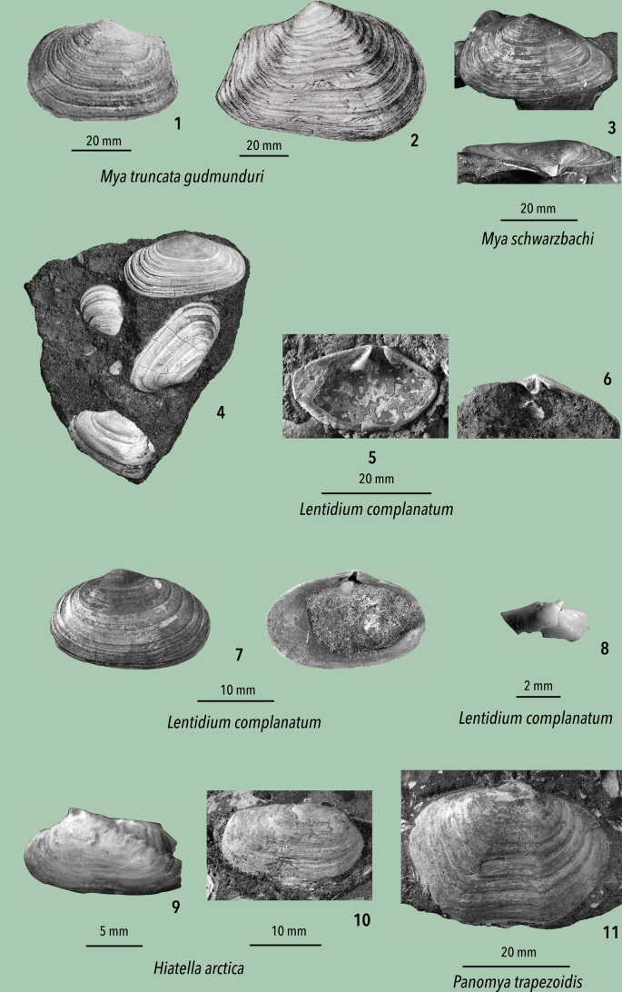 figure 41