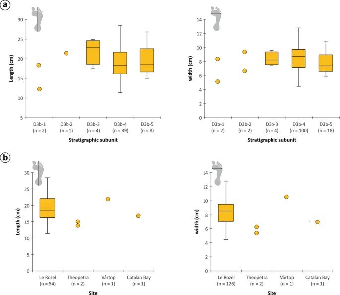 Four box-whisker-dot plots of length and width versus stratigraphic subunits and size. a. The two graphs display values for 5 subunits. b. The two graphs display values for 4 sizes.