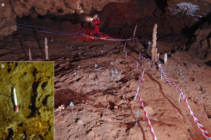 Two photographs. a. A footprint room in a cave with installed barriers and several footprints with tags. b. Footprint on the ground with a marker placed on the left side.