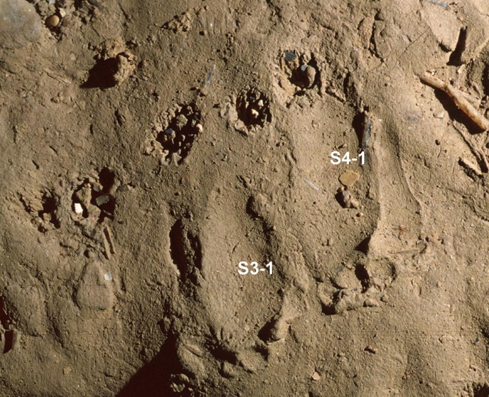 A photograph of event 24 displays uneven sandy ground with footprints in the gallery. The photograph displays 2 imprints with the numbers, S 4 1, and S 3 1.