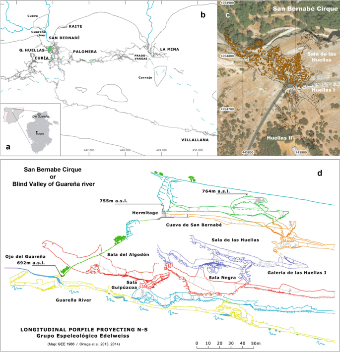 A map of the Province of Burgos depicts the location of the Ojo Guarana cave system, the second and third map depict the Sala and Galerias de las Huellas site, and a fourth map depicts the longitudinal profile of the Ojo Guarana cave system.