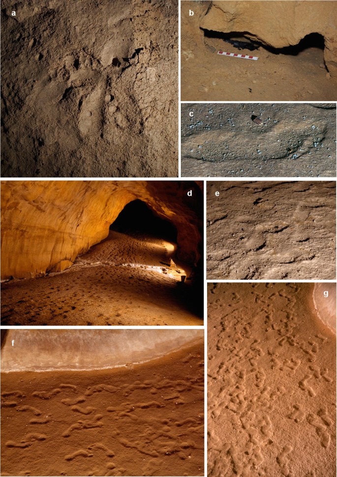 A set of seven photographs displays human imprints, remains, footprints, and some other traces at the Sala de las Huellas site.