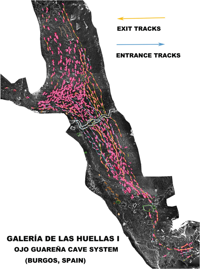 A map of the Galeria de las Huellas depicts the entrance track and exit track. Many superimposed footprints represent the side passage.