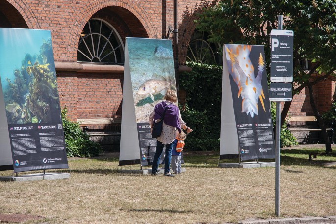 A photograph illustrates three posters in front of the building, one pole with a notice board, and a mother and her child watching the poster.