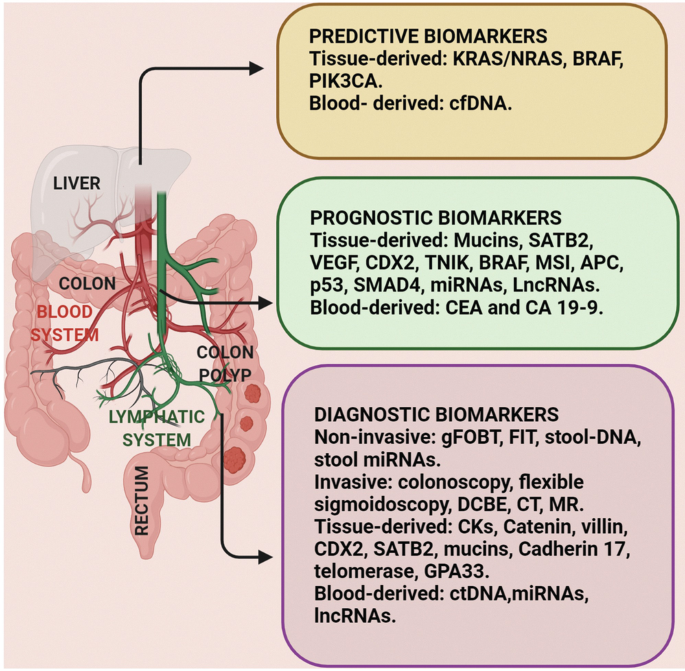 Biomarkers as Putative Therapeutic Targets in Colorectal Cancer ...
