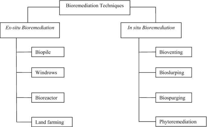 Efficient bioremediation of radioactive iodine using biogenic gold
