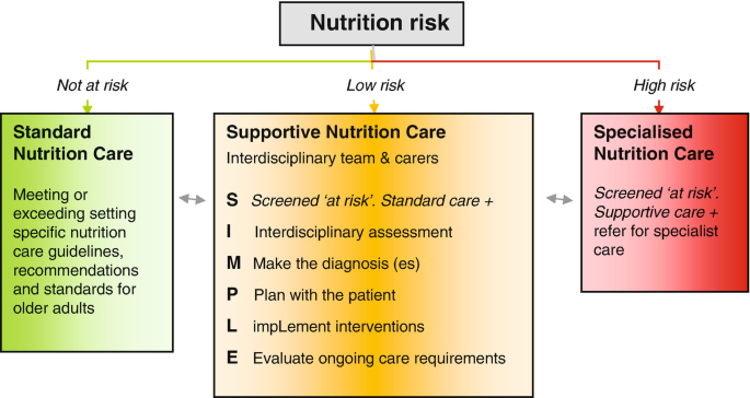 Nutritional Needs of an Older Adult: Lifecycle Nutrition and