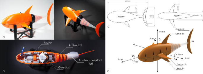 Biomimetic Design of a Soft Robotic Fish for High Speed Locomotion