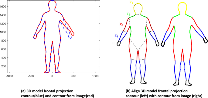 3d Articulated Body Model Using Anthropometric Control Points And An Articulation Video Springerlink