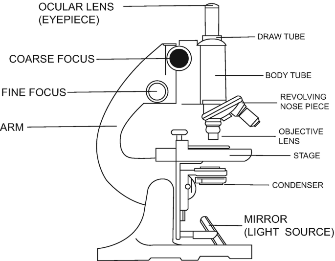 Difference Between Simple and Compound Microscope