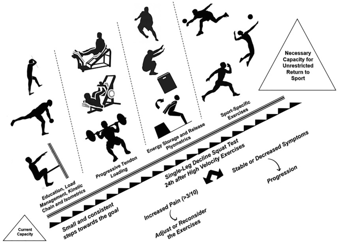Rehabilitation and Return to Sports of Lower Limb Tendinopathies | Springer  Nature Link