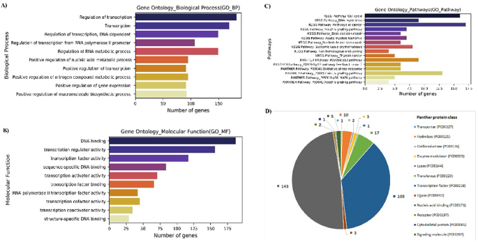 Chemical and genetic rescue of an ep300 knockdown model for