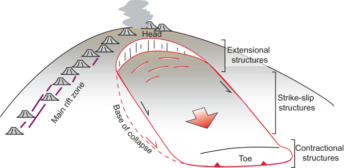 Biotic consequences of a volcanic flank collapse. (a) Flank collapse is