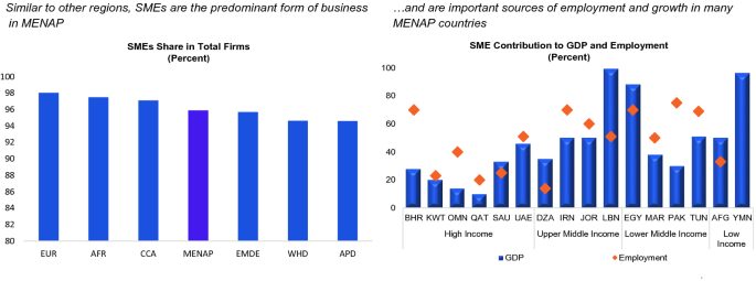 Two bar graphs illustrate S M Es share in the total firm and S M E contribution to G D P and employment. Graph 1 displays that the M E N A P has a value of approximately 90%.