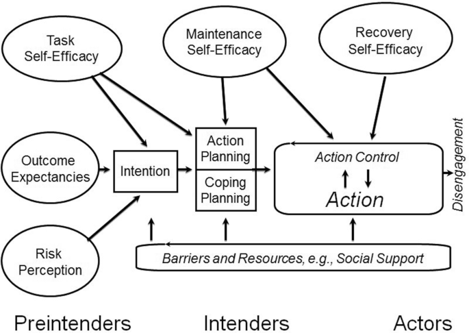 A model of how skills and capacities involved in refusing alcohol across situations cluster within particular stages as self efficacy, outcome expectancies, risk perception, barriers and resources, action and coping planning leads to action and finally disengagement.