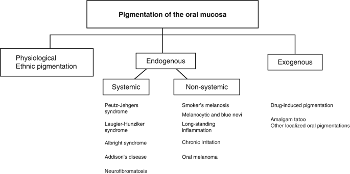 what is melanotic macule Melanocytic Lesions | A Guide to Clinical Differential Diagnosis of Oral  Mucosal Lesions | Continuing Education Course