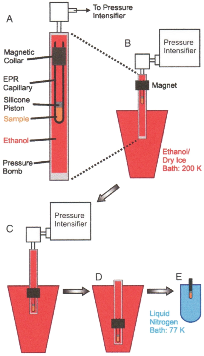 https://media.springernature.com/lw685/springer-static/image/chp%3A10.1007%2F978-3-030-67587-5_13/MediaObjects/481023_1_En_13_Fig6_HTML.png