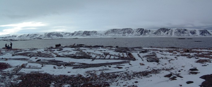 Arktischer Tundra Winter