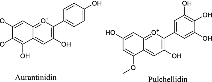 figure 29