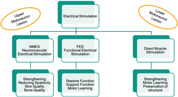 Electrical Stimulation for Spinal Cord Injury: How It Works