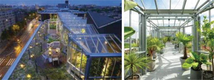 Rooftop Greenhouses: Smart and Inclusive Design | SpringerLink