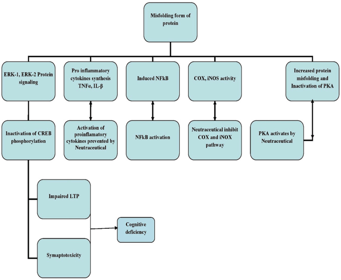 Nutraceuticals and Nanonutraceuticals for CNS and Alzheimer’s Disease ...
