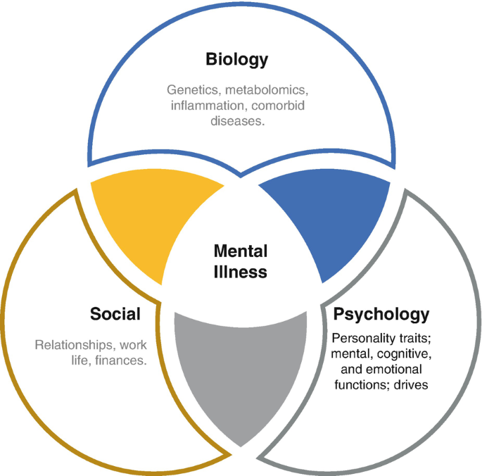 The Mental Health System: Definitions and Diagnoses | SpringerLink